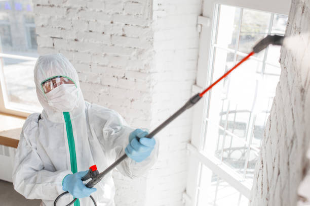 Best Mold-Related Health Consultation  in Blanding, UT