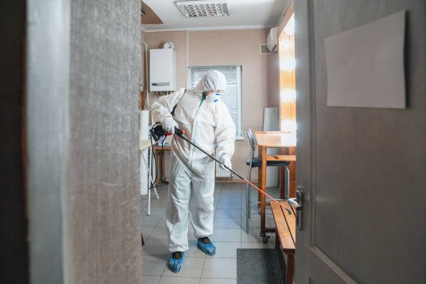 Best Mold Removal for HVAC Installations  in Blanding, UT
