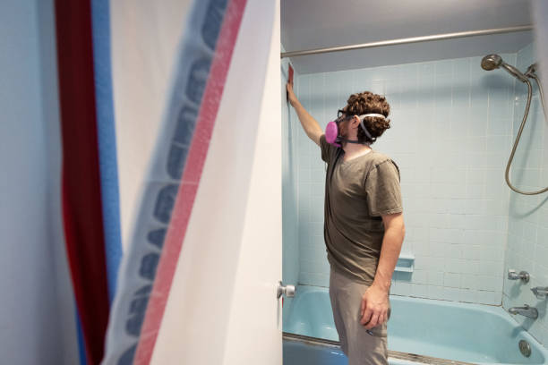 Best Basement Mold Removal  in Blanding, UT