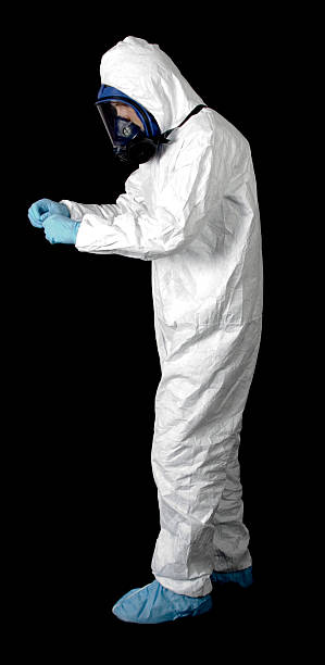 Best Mold Damage Restoration  in Blanding, UT