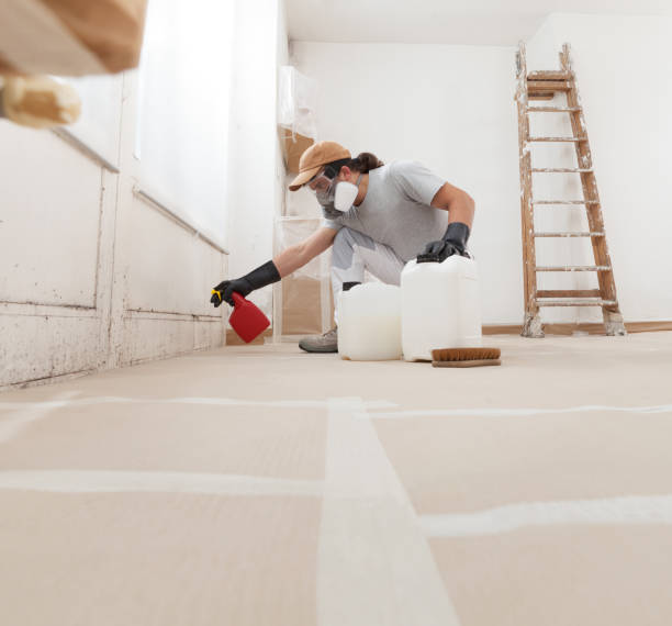 Best Biohazard Mold Removal  in Blanding, UT